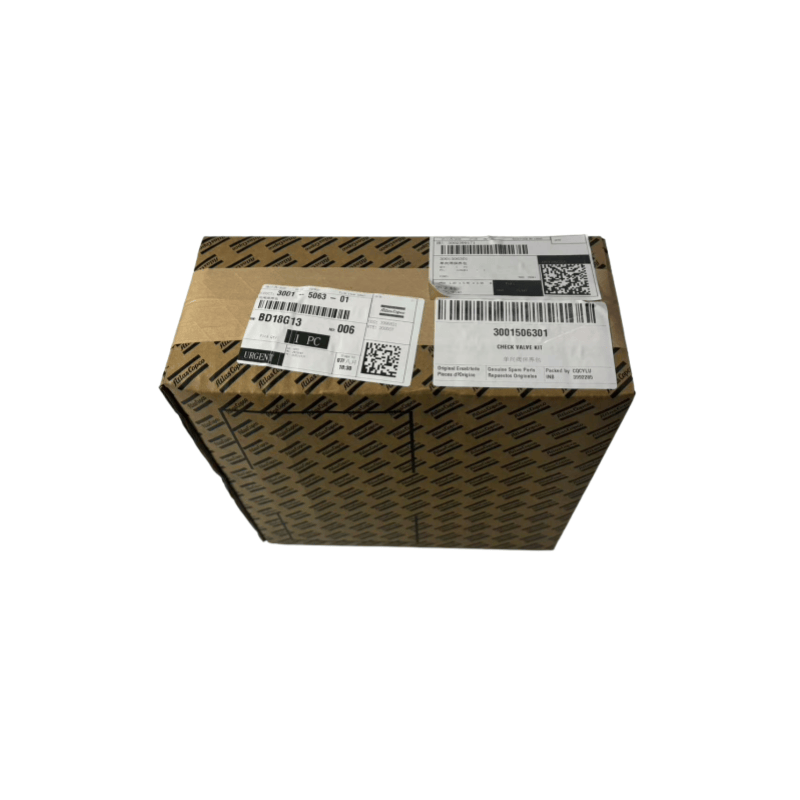 Jatorrizko 3001506301 Atlas Copco Oil Copco Doako konpresoreak Egiaztatu balbula kit